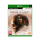 Gra Xbox One The Dark Pictures: House of Ashes XBOX ONE